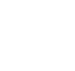 一次性杯